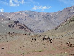 21 The Muleteers Lead Their Mules Back Down The Relinchos Valley Toward Casa de Piedra.jpg